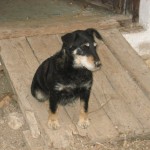 Album 14 160