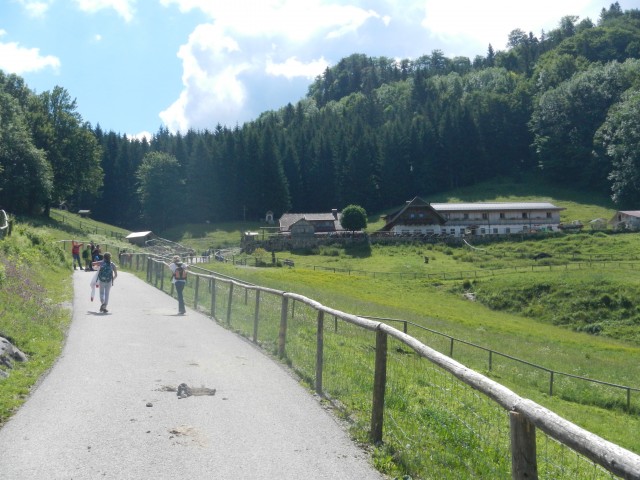 DSCN0424